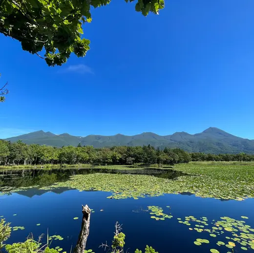 Naturwunder Hokkaido aktiv erleben Naturwunder Hokkaido aktiv erleben