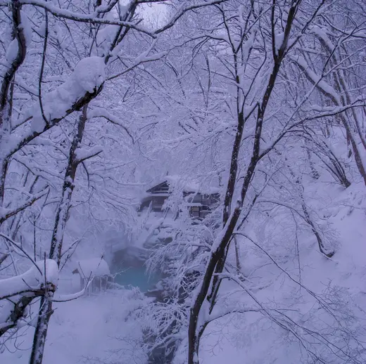 Wintertraum Japan Wintertraum Japan
