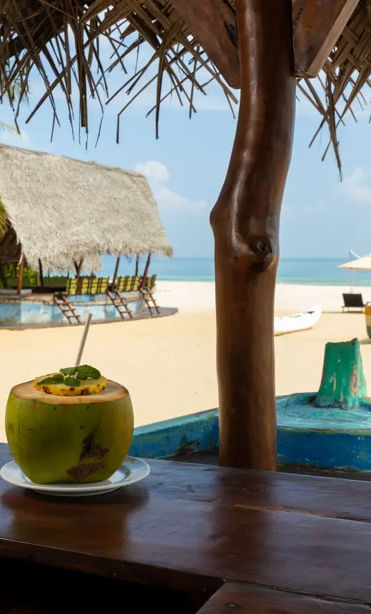 Sri Lanka – Zwischen Natur, Begegnungen und stilvollem Reisen Sri Lanka – Zwischen Natur, Begegnungen und stilvollem Reisen
