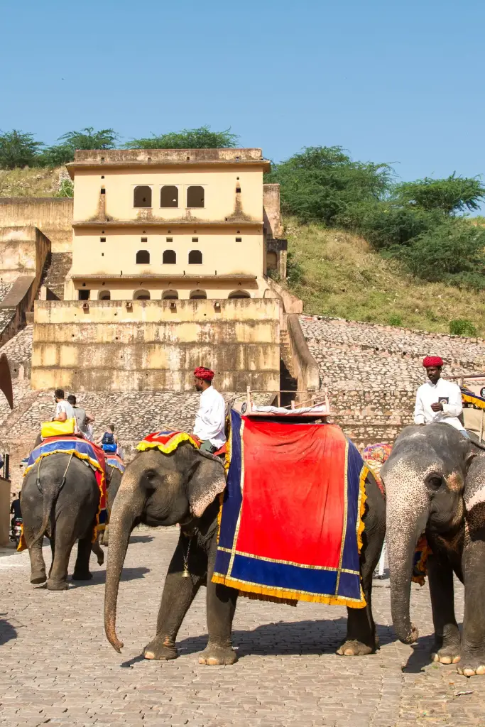 Amber Fort