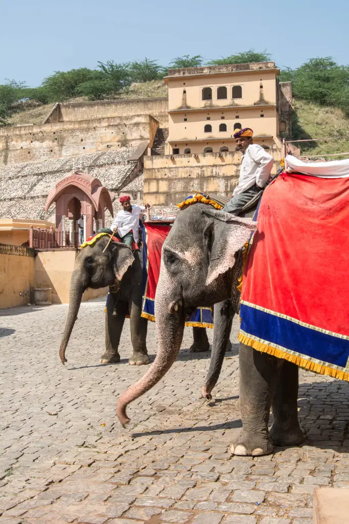 Amber Fort, Jaipur
