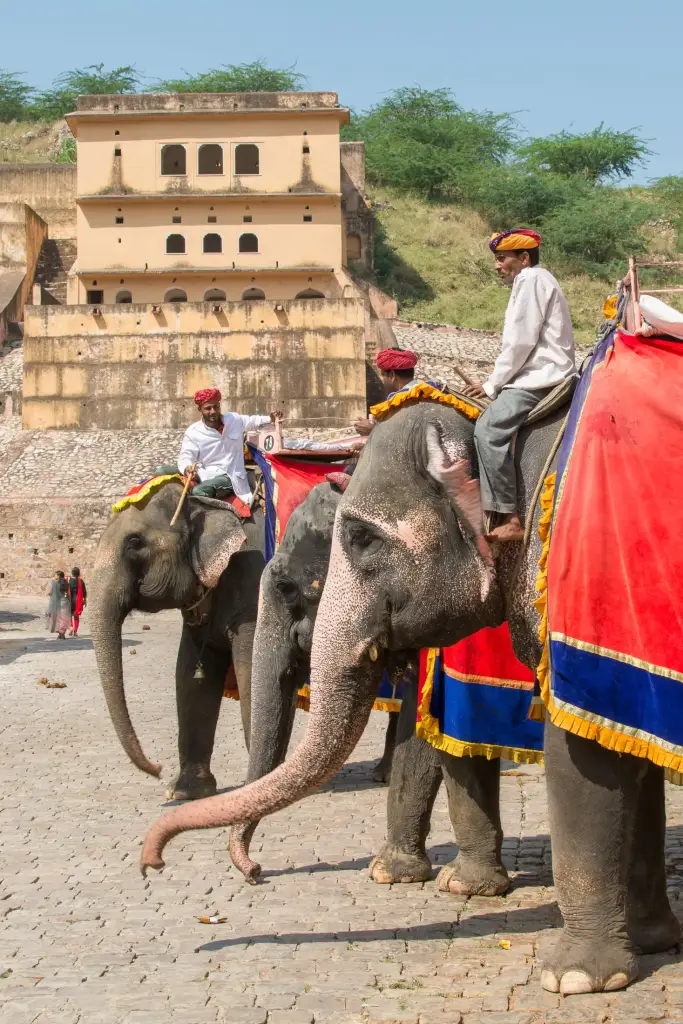 Amber Fort