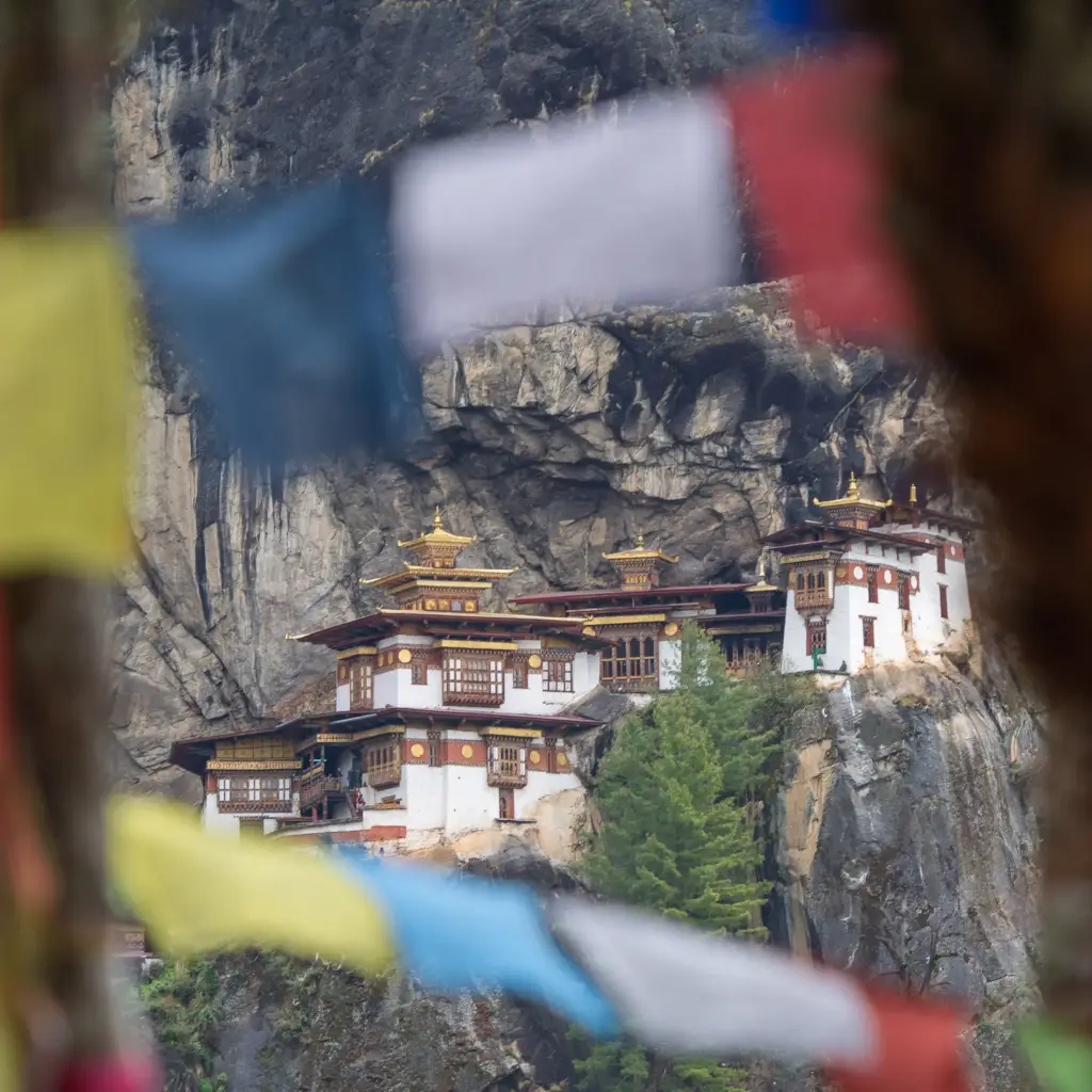 Tiger Nest