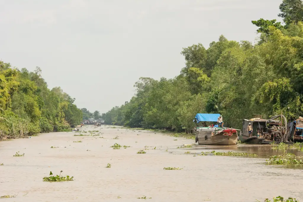 Mekong