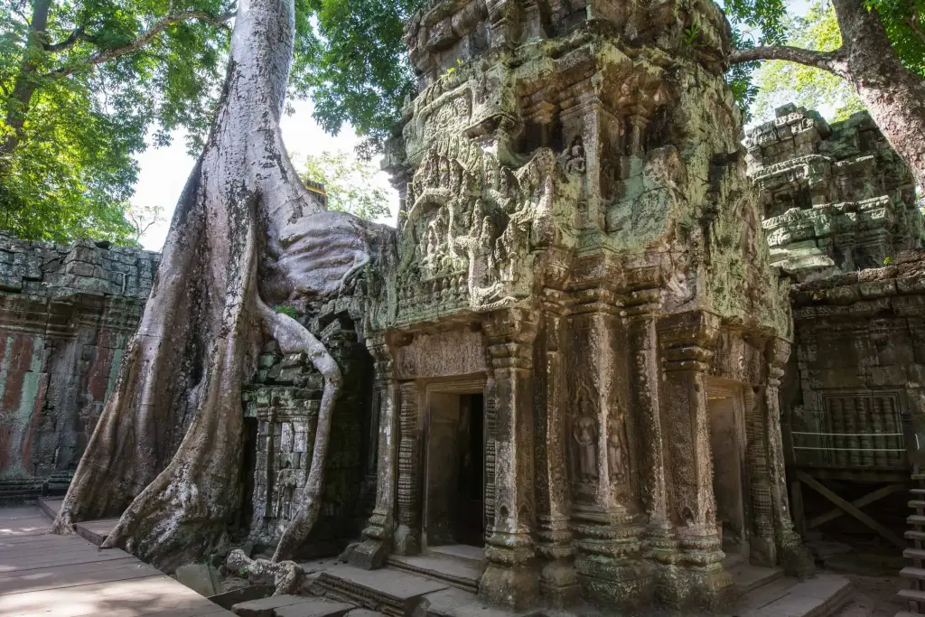 Ta Prohm