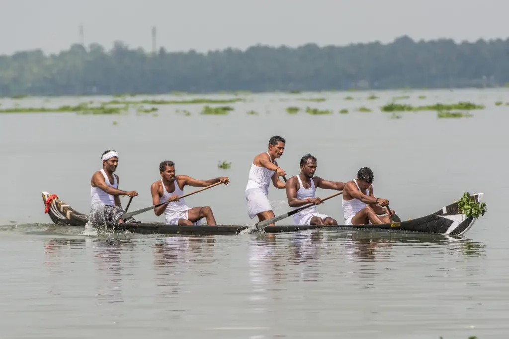 Backwaters