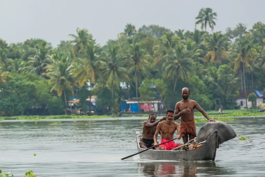 Backwaters