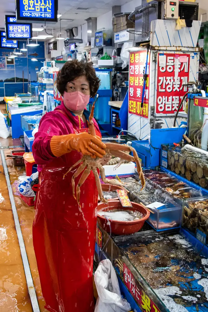 Noryangjin Fischmarkt, Seoul