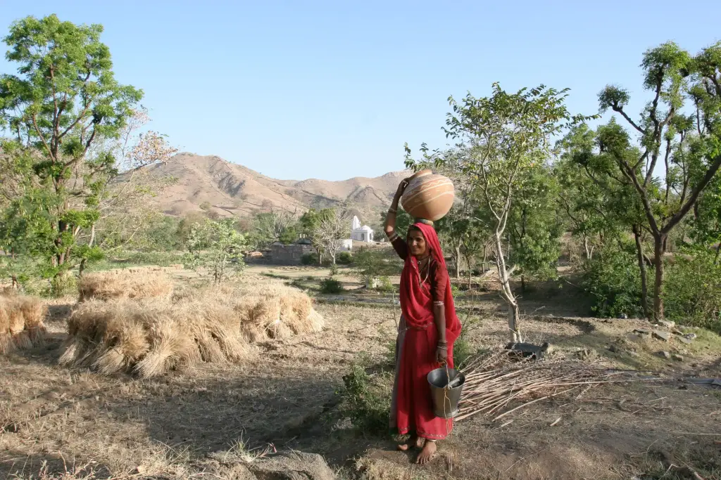 Auf dem Weg nach Udaipur in den Aravelli-Hügeln.