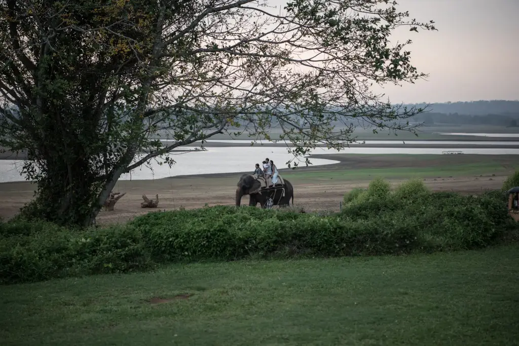 Nagarhole Nationalpark