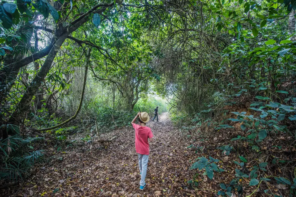 Coorg
