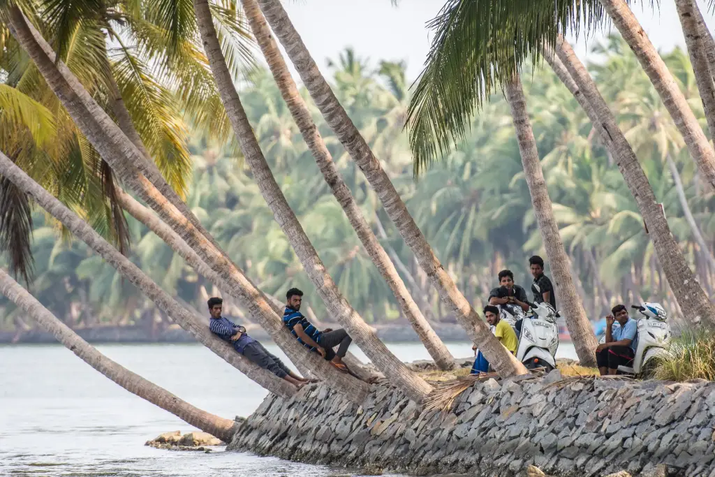 Backwaters
