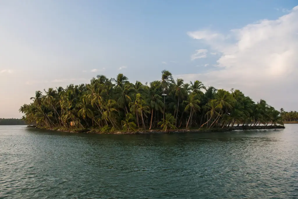 Backwaters