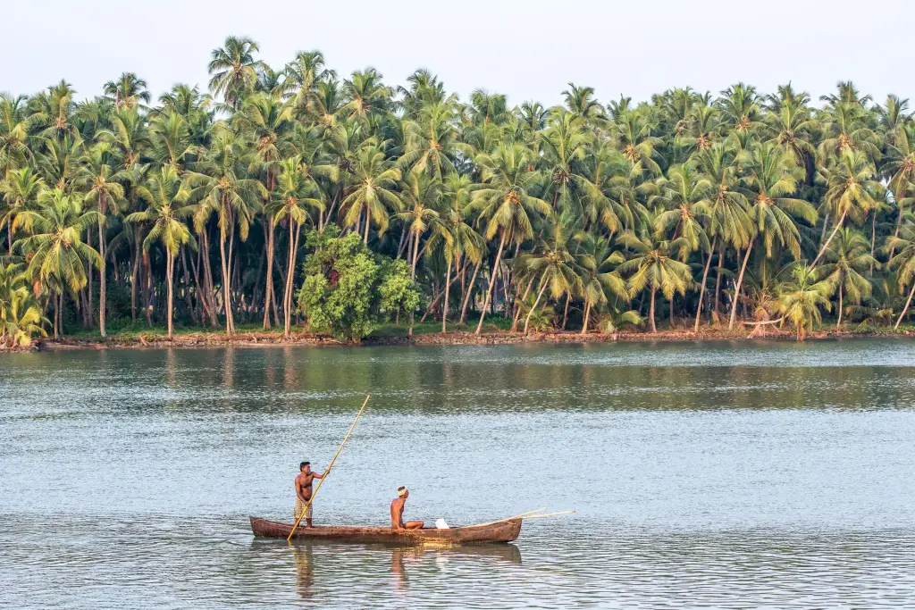 Backwaters
