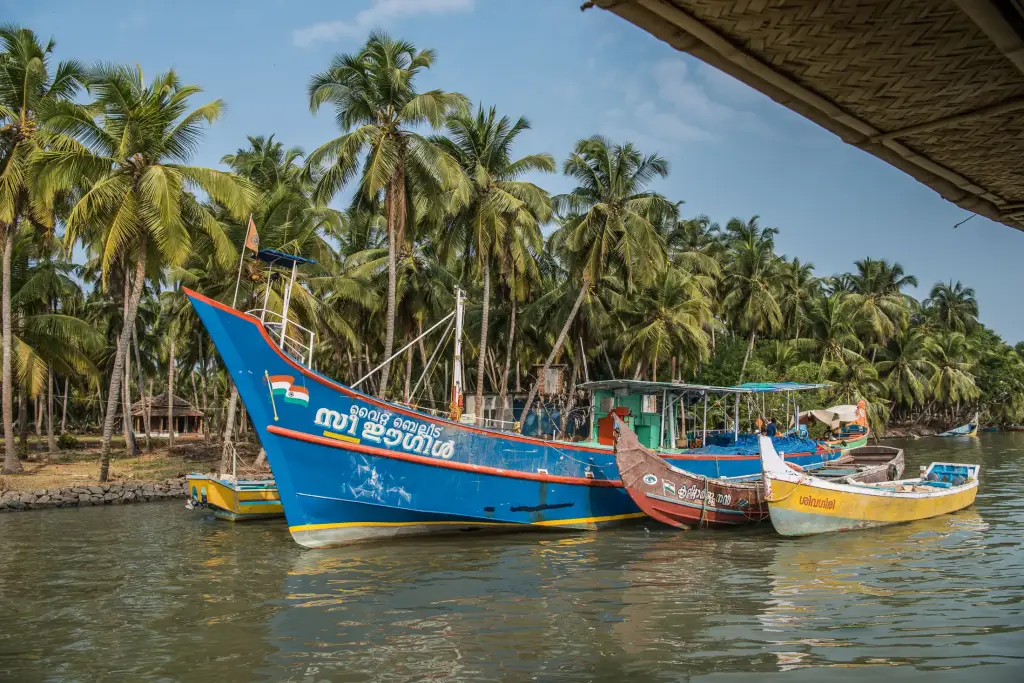 Backwaters