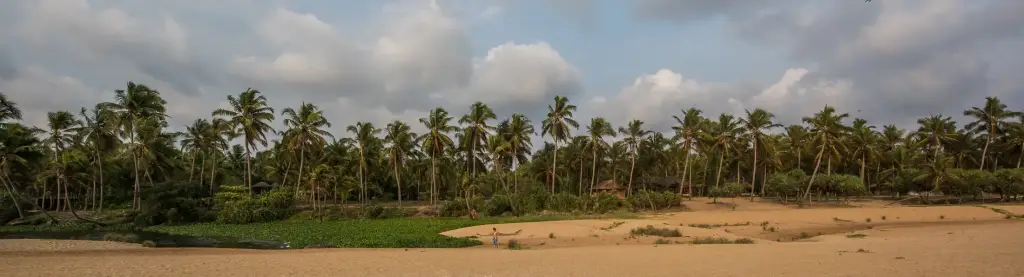 Marari Beach