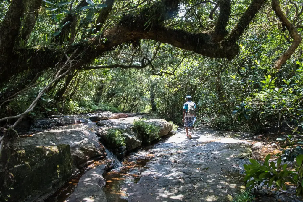 Trekking in den Knuckles Mountains.