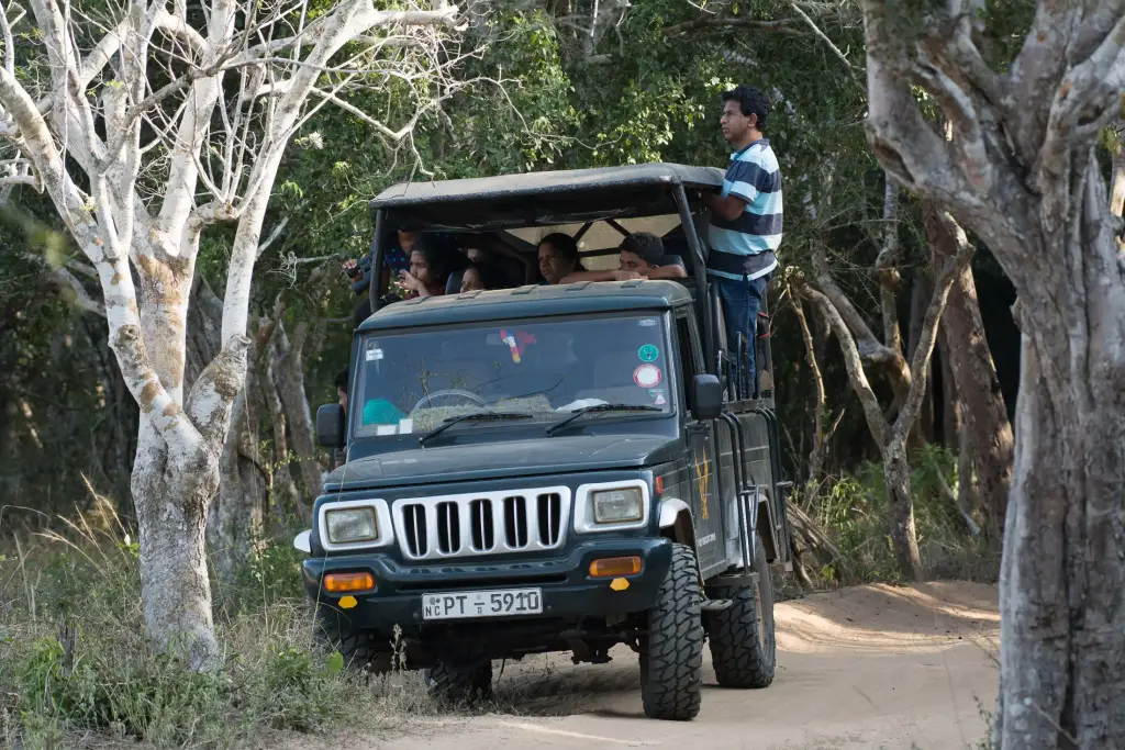 Jeep Safari