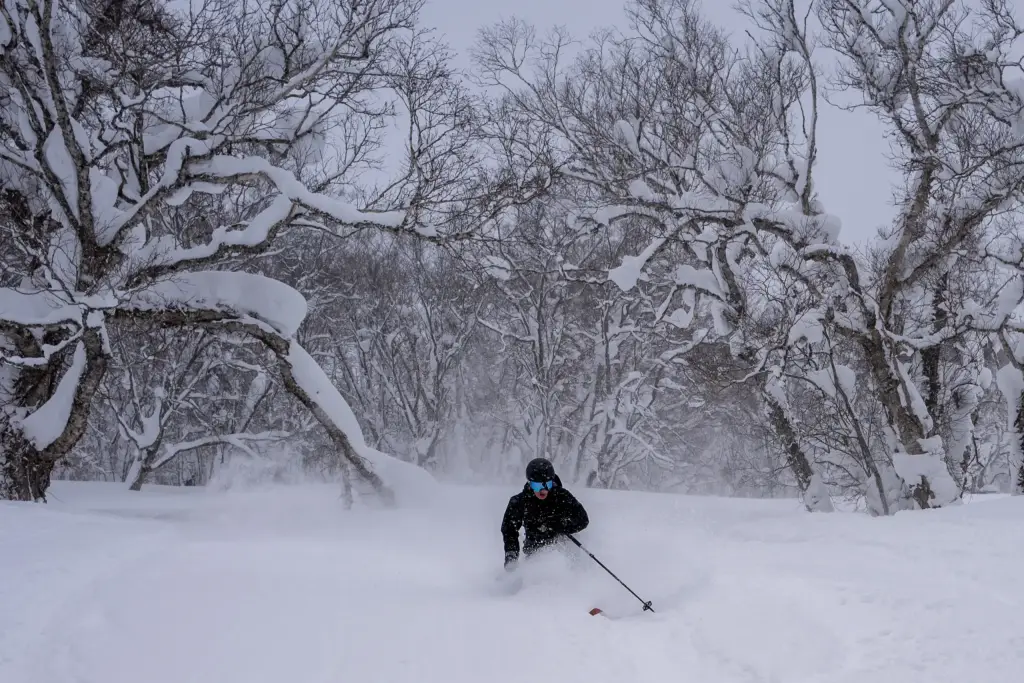 Freerider im Pulverschnee von Hokkaido