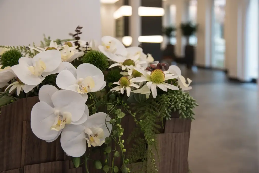 Ayurveda-Bereich im Kurhaus Bad Bocklet