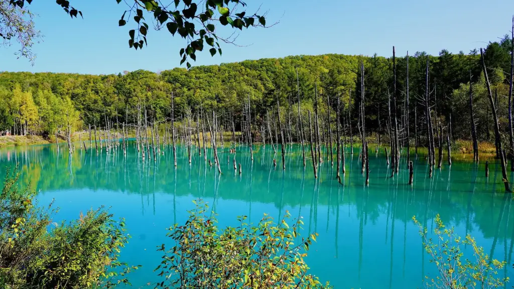 Blue Pond