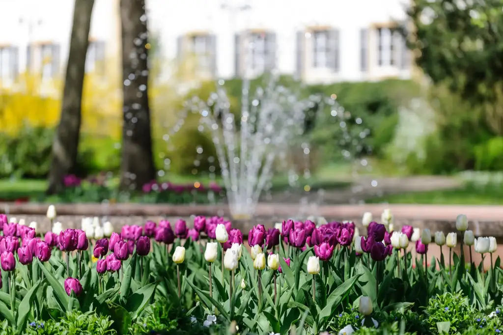 Der wunderschöne Garten.