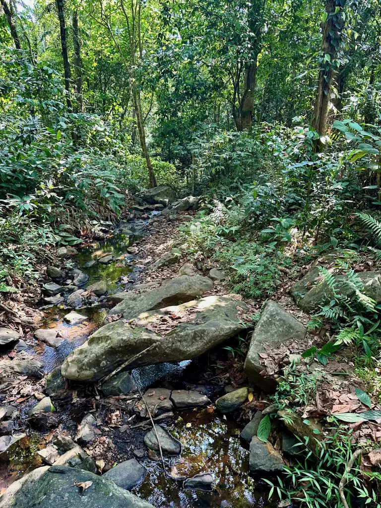 Wayanad
