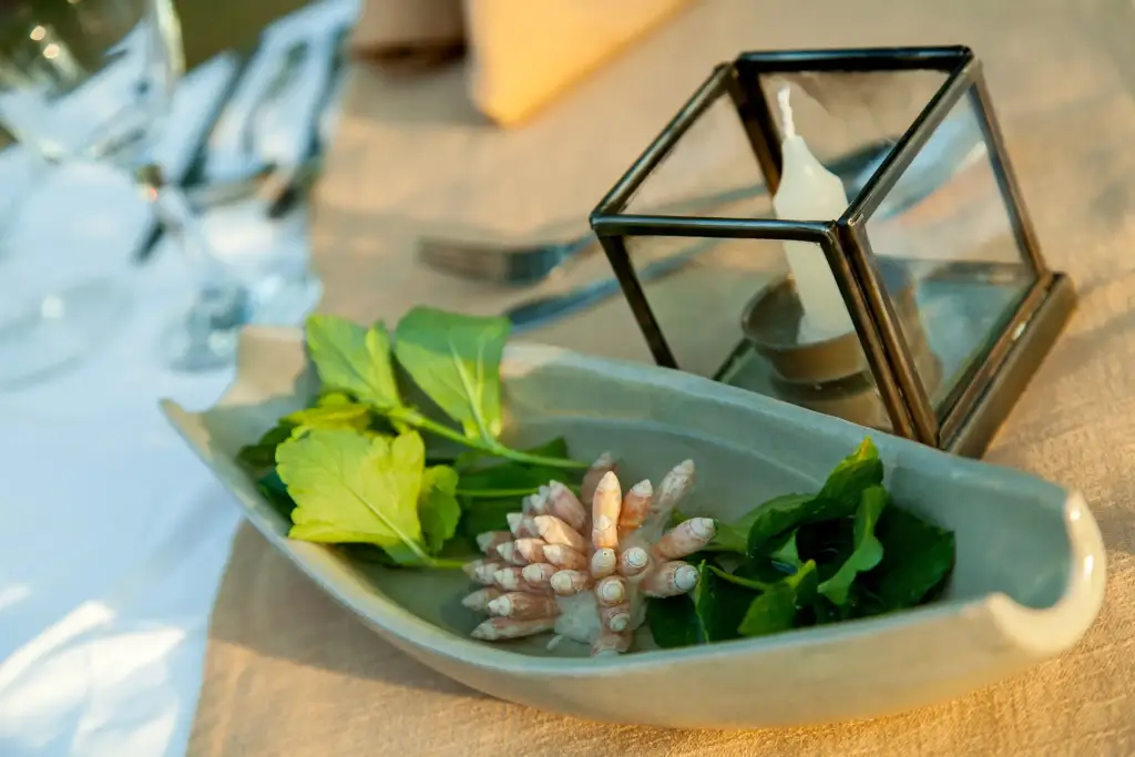 Ayurveda Food