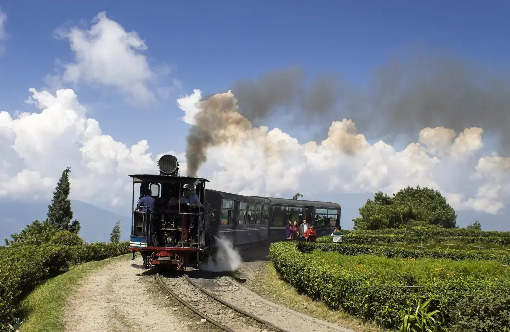 Toy-Train Darjeeling