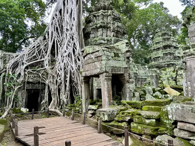 Ta Phrom oder Dschungel-Tempel in Angkor
