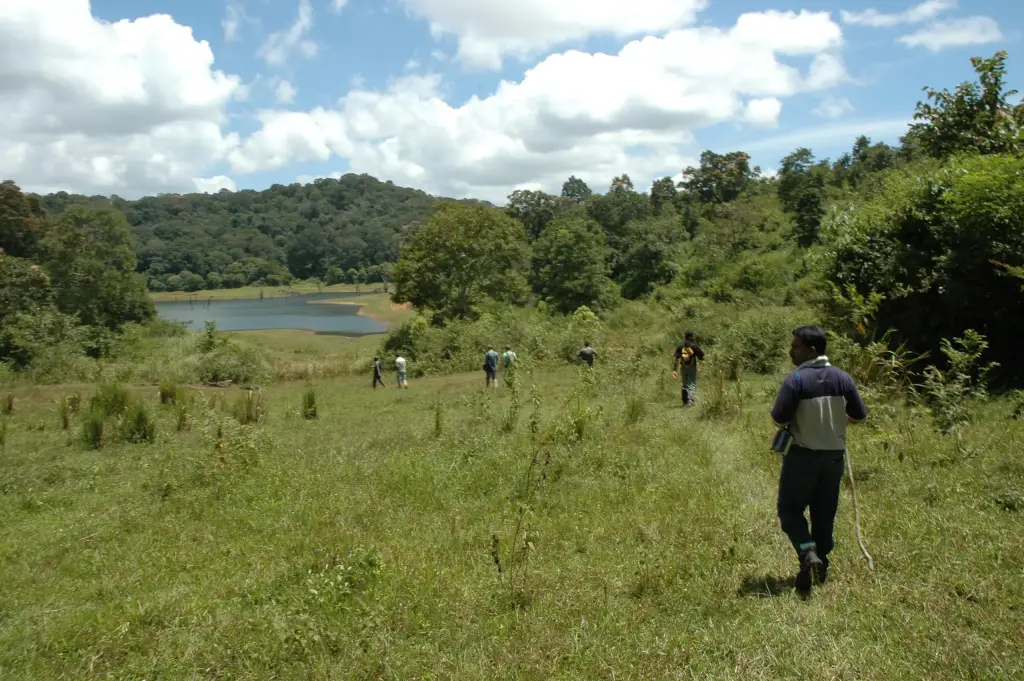 Trekking