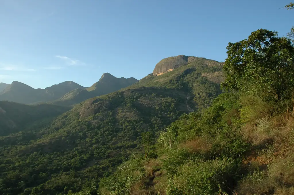 Trekking