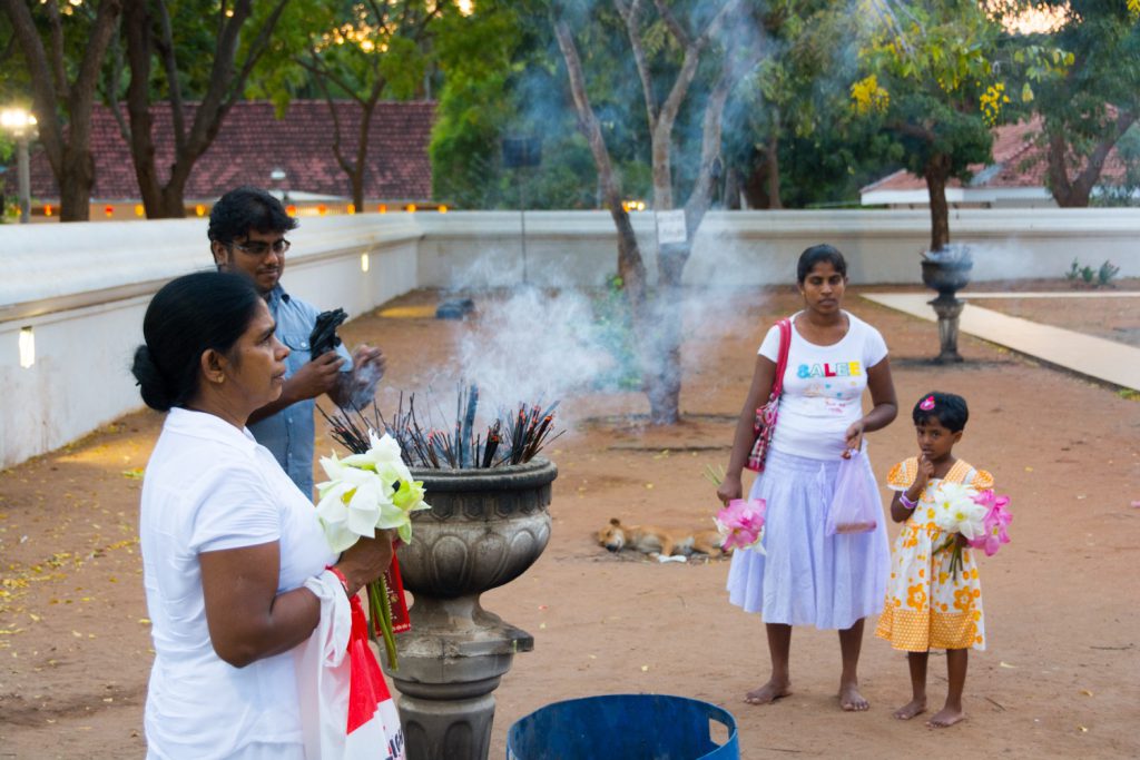 Sri Lanka mit Insight Reisen