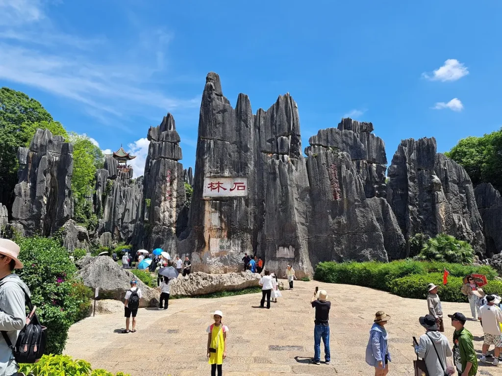 Stone Forest