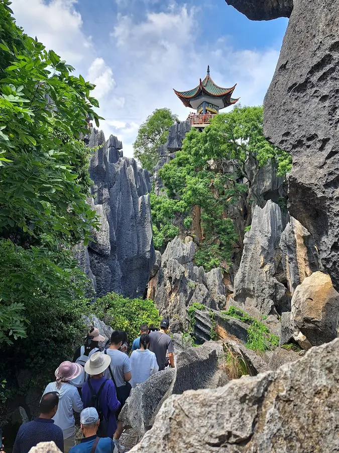 im grossen Steinwald