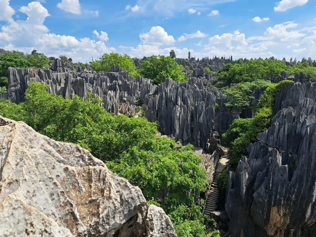 die Aussicht von oben im grossen Steinwald