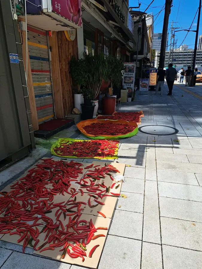 Die Einwohner trocknen ihre Chillies auf den Dächern und sogar am Strassenrand.