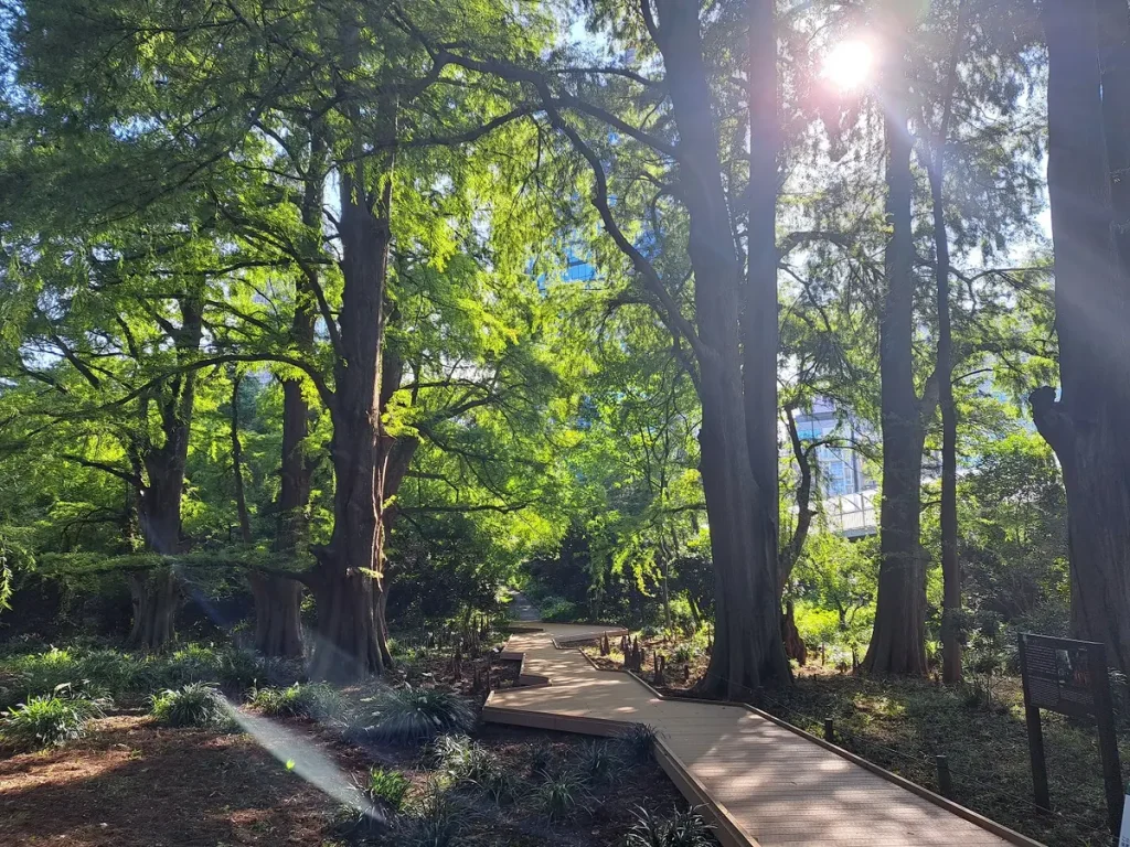 In den grossen Parks von Tokyo vergisst man teilweise, dass man sich immer noch in einer Metropole befindet.