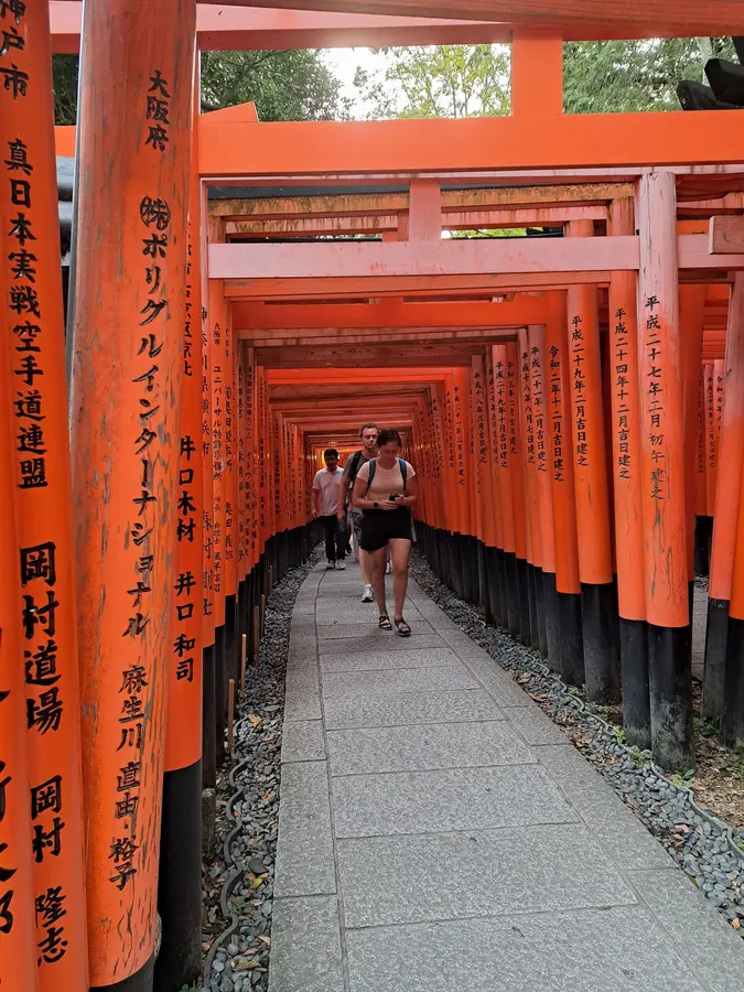 Die orangen Toriis sind ein beliebtes Fotosujet für Touristen.