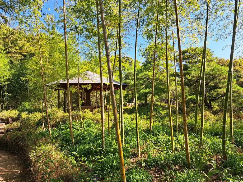 Am Koko-en Garten gefällt mir besonders gut, dass man die verschiedenen Stile der japanischen Gärten zusammengefasst in einem einzigen Garten bewundern kann.