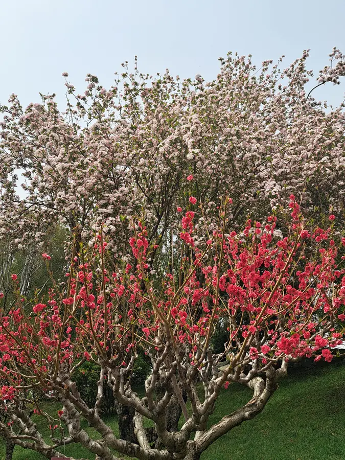 der Frühling ist auch hier eingetroffen
