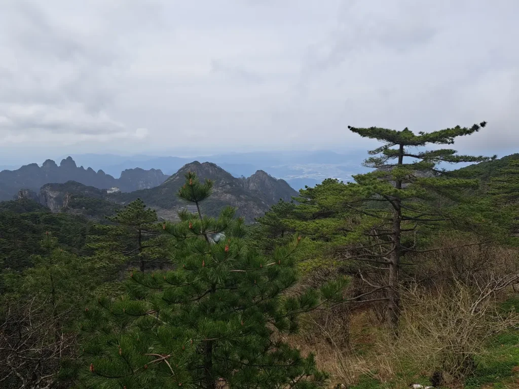 Aussicht auf das Tiefland