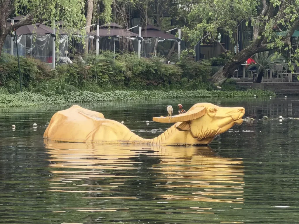 Die Legende vom goldenen Wasserbüffel am Westsee besagt, dass er bei drohender Austrocknung aus dem Seegrund auftauchte und Wasser speite, um den See aufzufüllen. Heute erinnert eine Stierskulptur an diese Erzählung und steht an einem beliebten Aussichtspunkt mit Blick auf die Leifeng-Pagode.