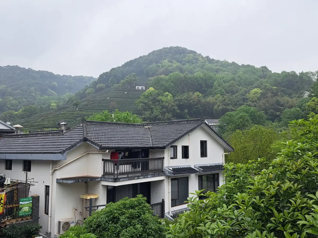 das kleine Dorf liegt inmitten der mit Tee bepflanzten Hügel