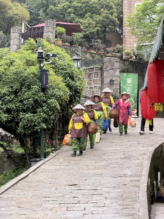eine Gruppe Teepflückerinnen auf dem Rückweg ins Dorf