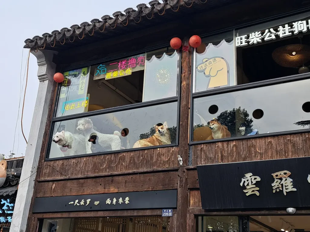 dieses Hunde-Café zieht viele Blicke an