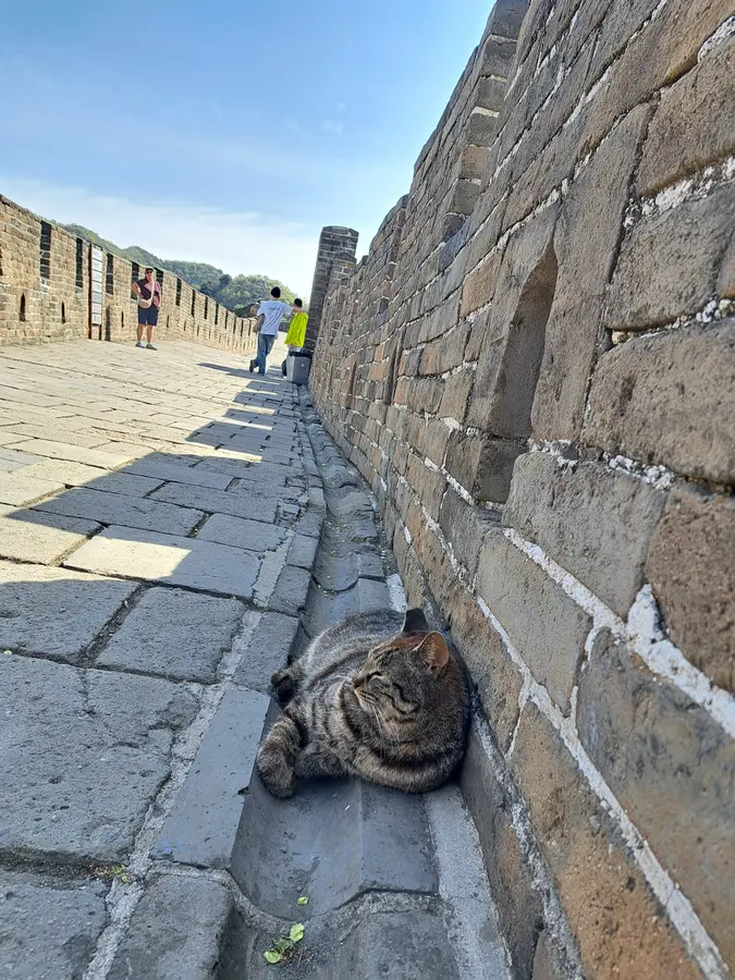 eine Katze haben wir ebenfalls noch angetroffen
