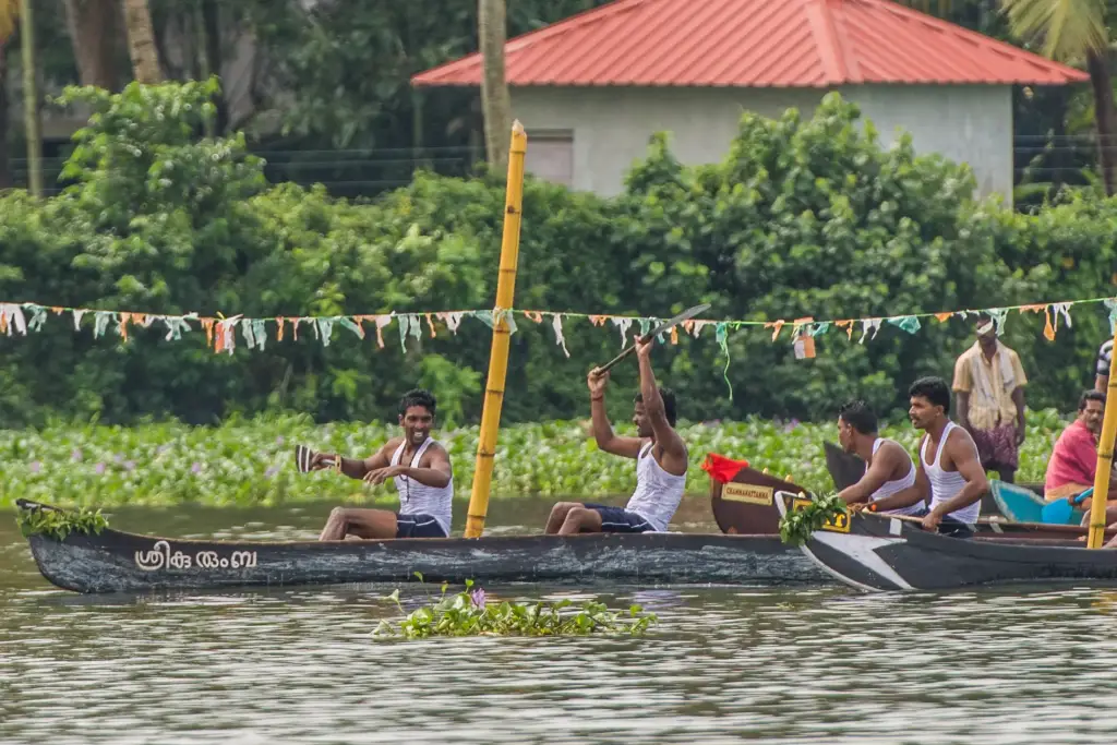 Wettrudern in den Backwaters