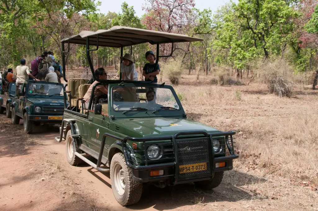 Safari Jeeps