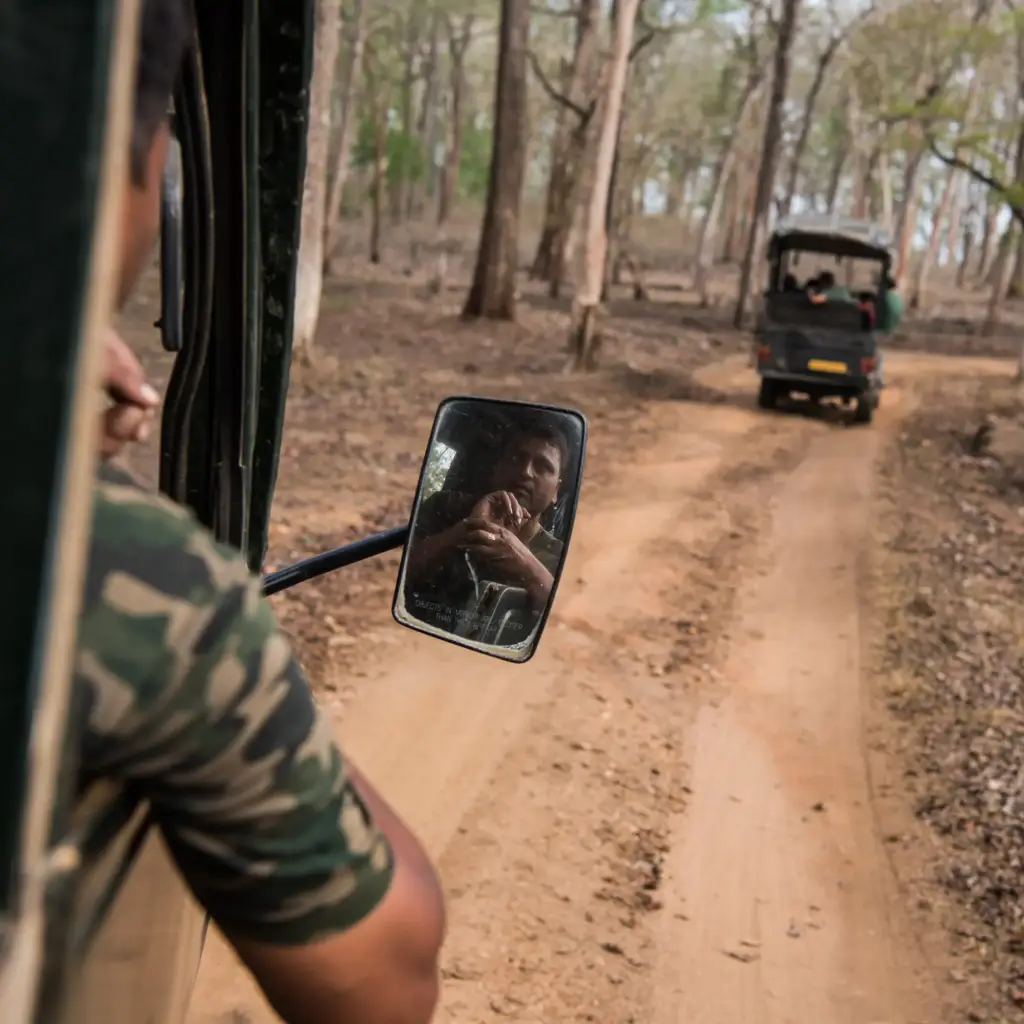 Safari